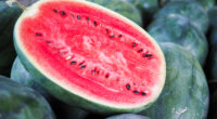 Benefit and uses of watermelon seeds