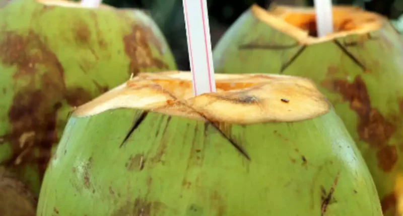 Why You Should Drink Coconut Water Daily!