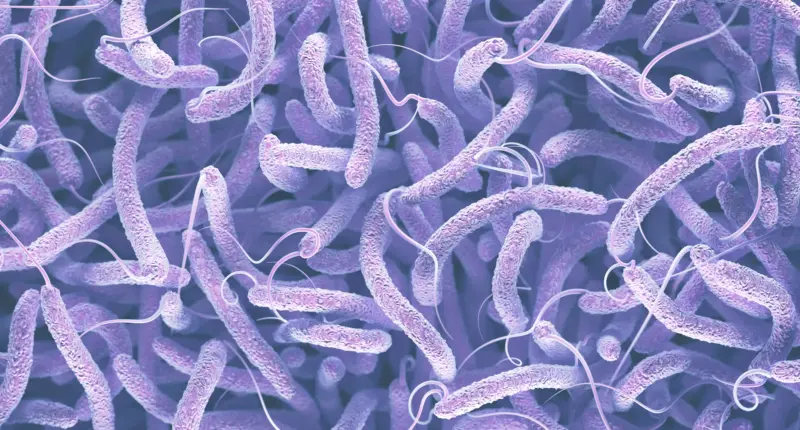 7 Easy Ways To Prevent Cholera